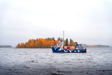 Quality, Taste & Sustainability 