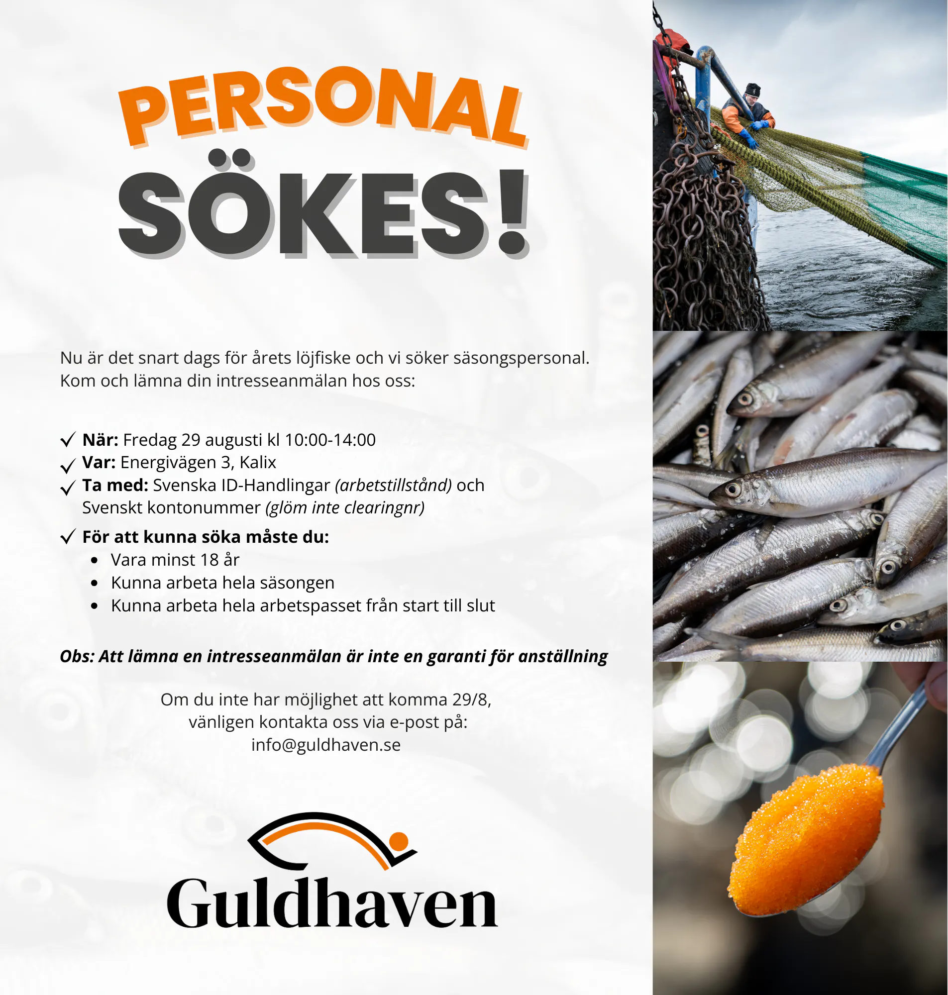 Personal Sökes till årets löjfiske