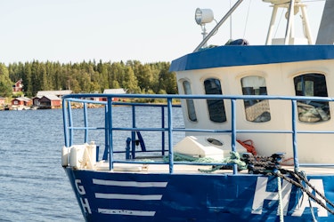 Kvalitet, Smak och Hållbarhet! 